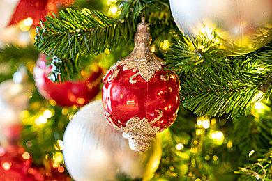 Switch独占《勇者斗恶龙宝藏》可用怪兽协助冒险